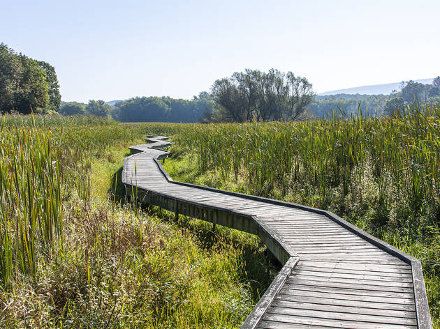 Appalachian Trail