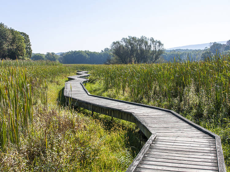 Best hiking near NYC you can get to by public transportation - Curbed NY