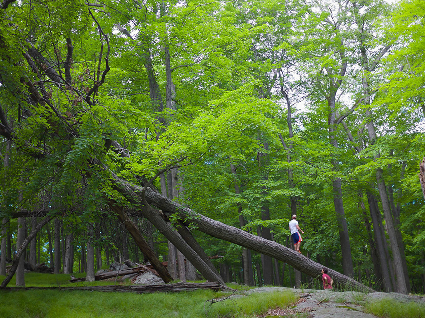 22 Best Hikes Near NYC For Scenic Trails