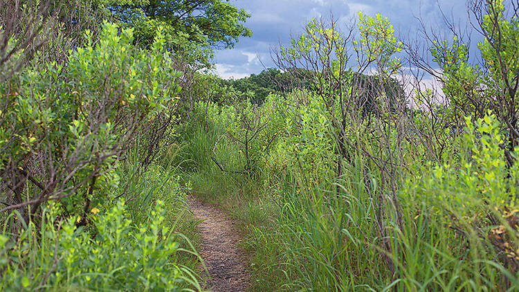 Marshlands Conservancy