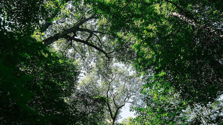 Manitou Point Preserve