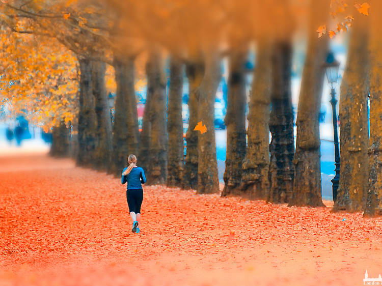 Green Park's red leaves