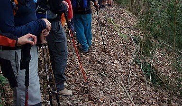 Foment Excursionista de Barcelona