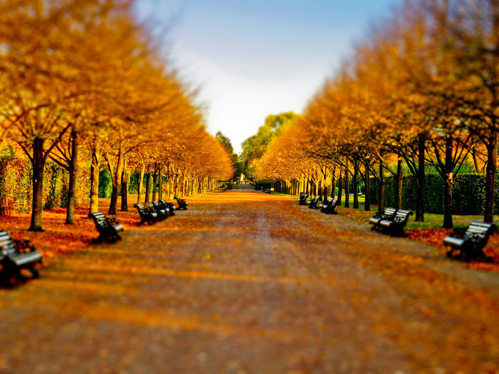 32 cosy photos of autumn in London