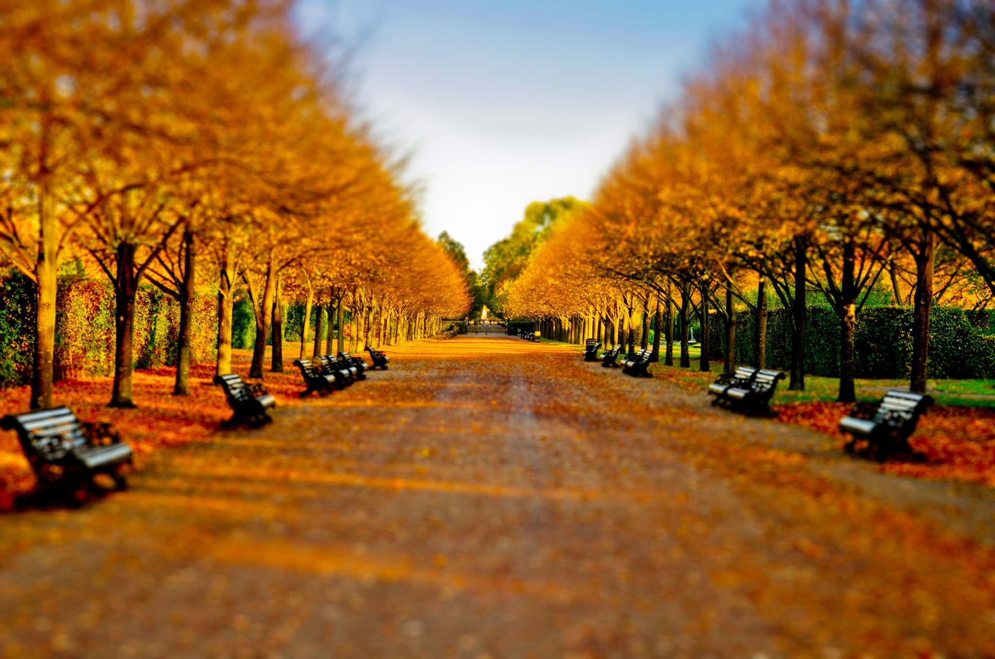 32 Cosy Photos Of Autumn In London