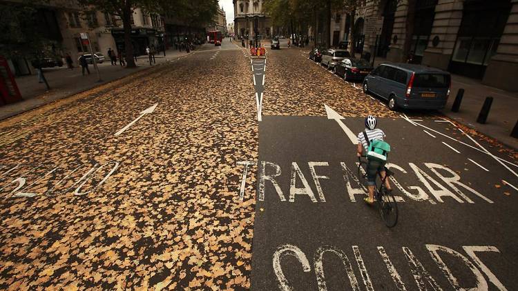 Autumn leaves in hot tarmac