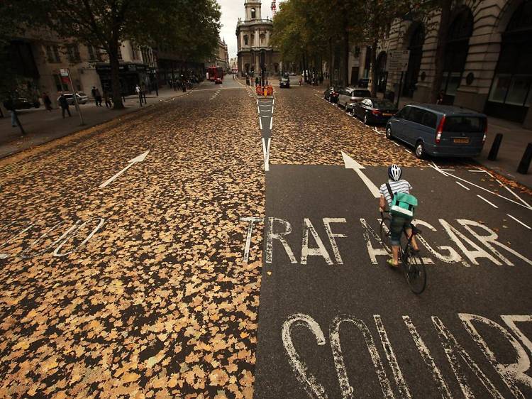 Autumn leaves in hot tarmac