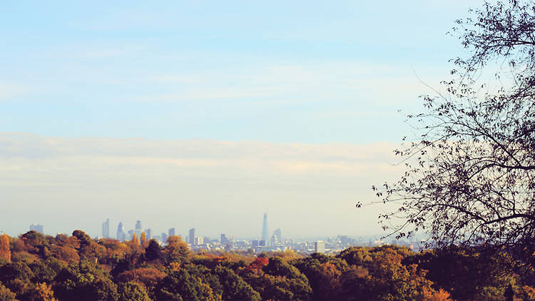 Autumn skyline