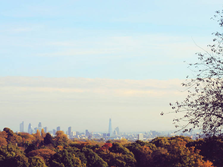 Autumn skyline