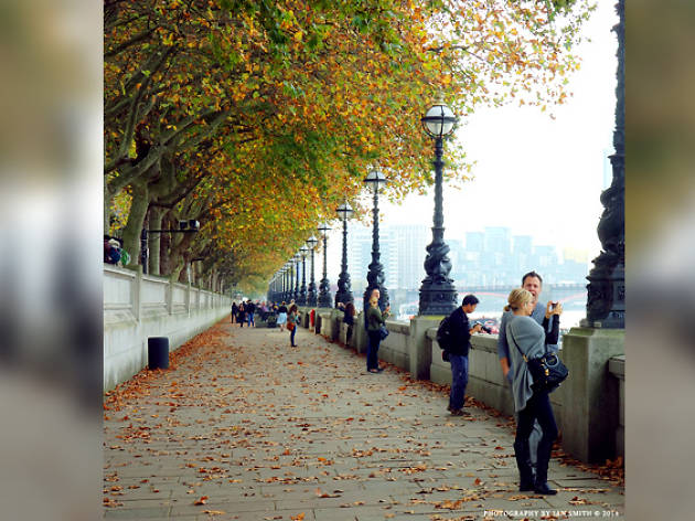 Taking in the Thames Taking in the Thames