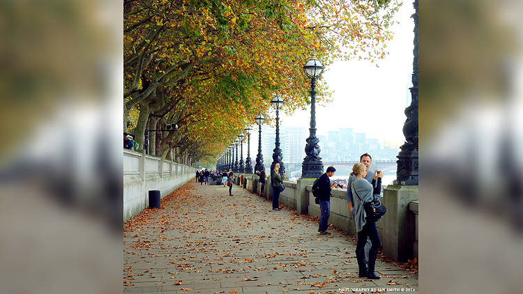 Taking in the Thames