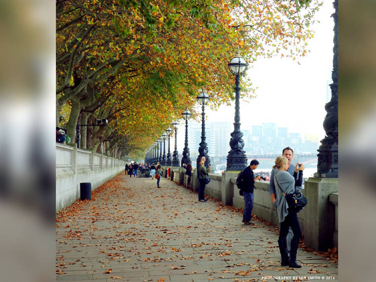 Taking in the Thames