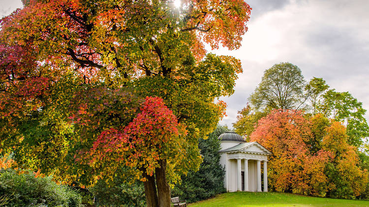 Kew Gardens colours