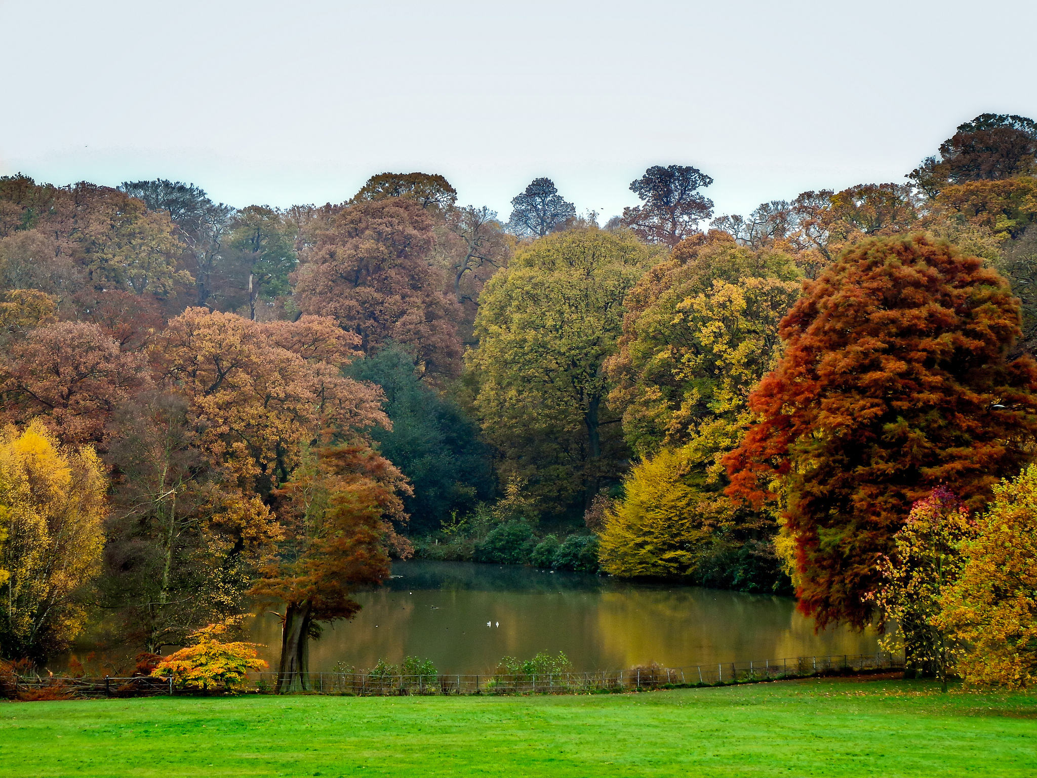 32 cosy photos of autumn in London