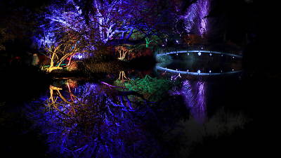 Syon Park’s Enchanted Woodland