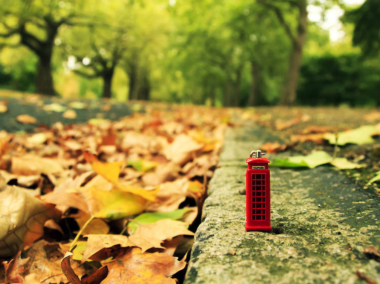 A miniature telephone box surrounded by giant autumn leaves.