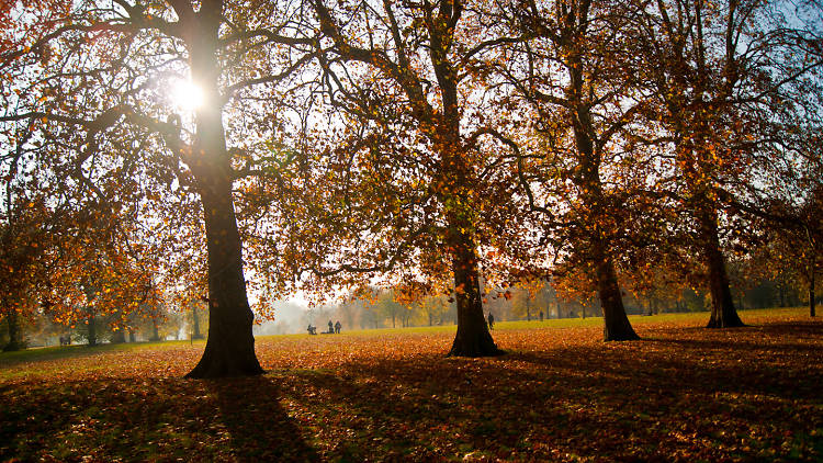 Afternoon in Hyde Park