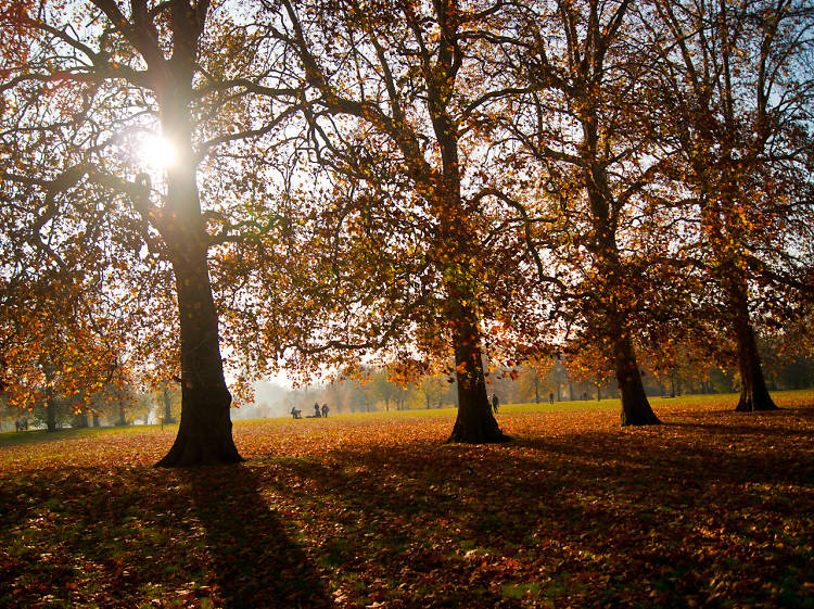 Have a perfect autumnal day out in London