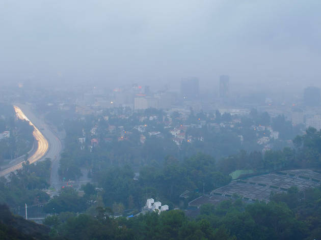 Hollywood on a rainy day