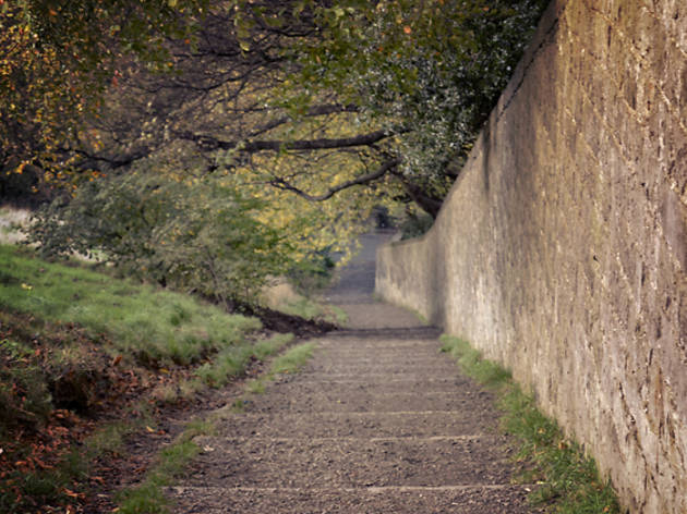 Calton Hill steps Calton Hill steps