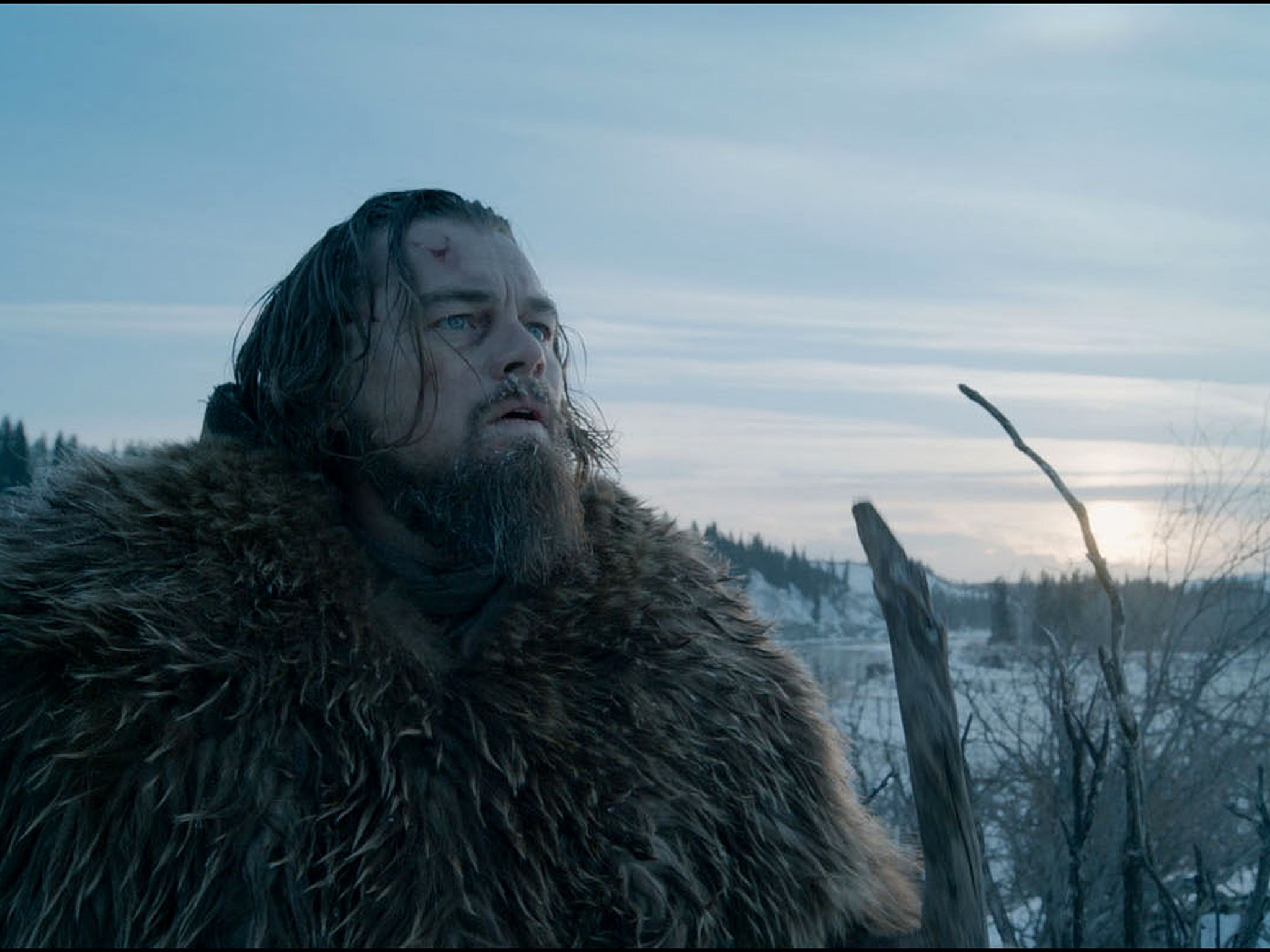 The Revenant 