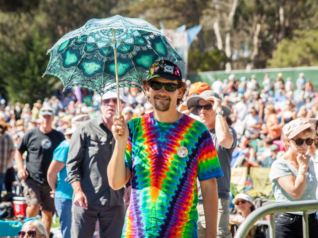 Hardly Strictly Bluegrass 2015