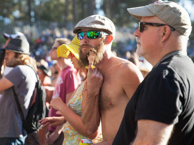 Hardly Strictly Bluegrass 2015