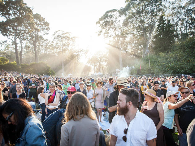 Hardly Strictly Bluegrass Hardly Strictly Bluegrass
