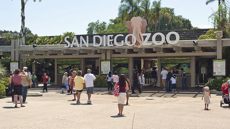 Photograph: Courtesy San Diego Zoo