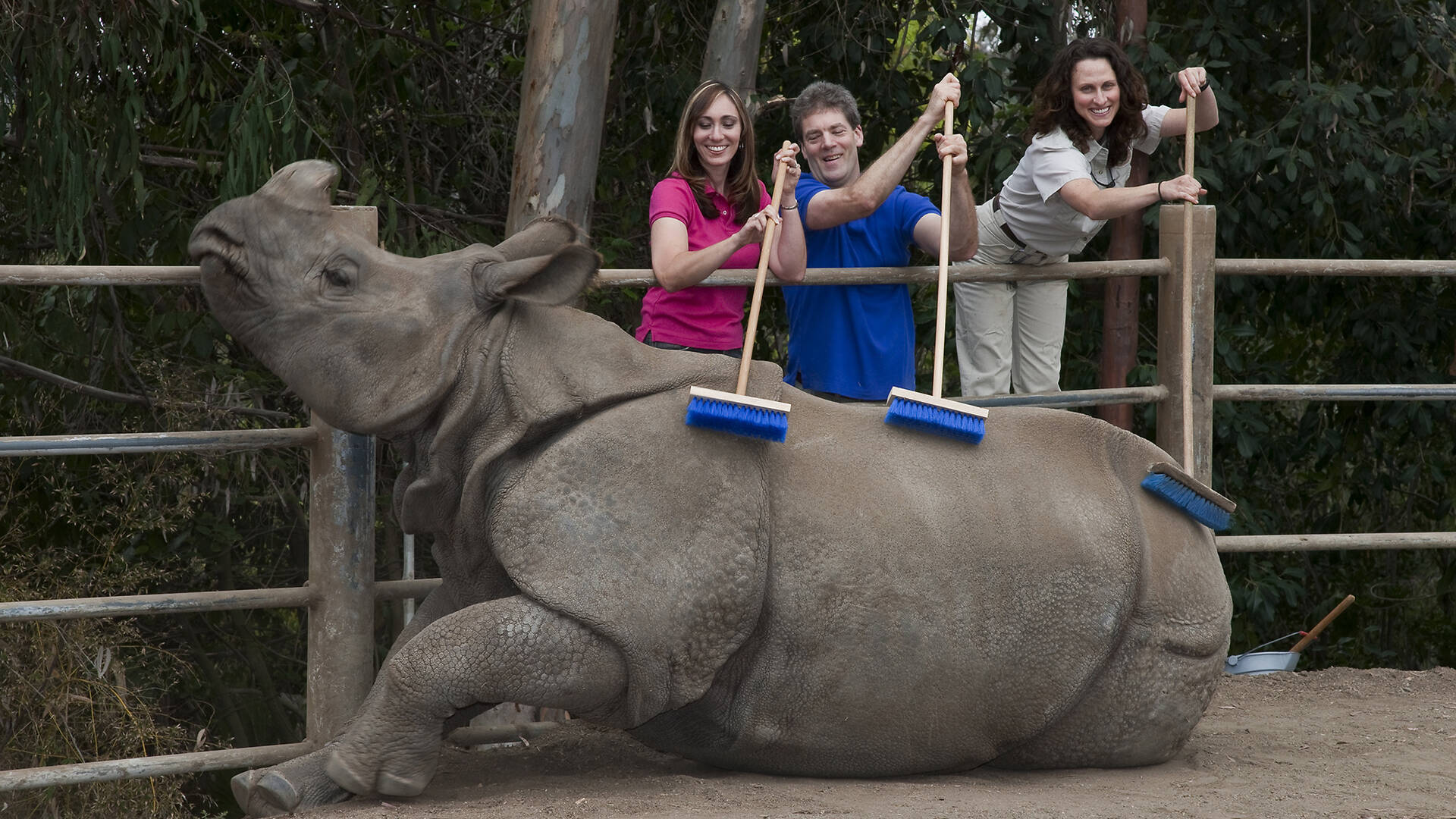 San Diego Zoo | Attractions in Park Laurel, San Diego