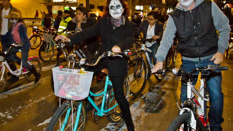 Foto: Cortesía Secretaría del Medio Ambiente