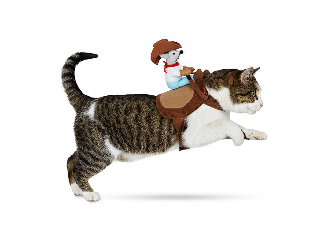 Best pet Halloween costumes and ideas for dogs and cats