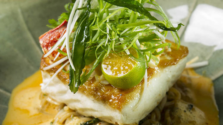 Pan-seared Alaskan halibut laksa, $42 at Spago