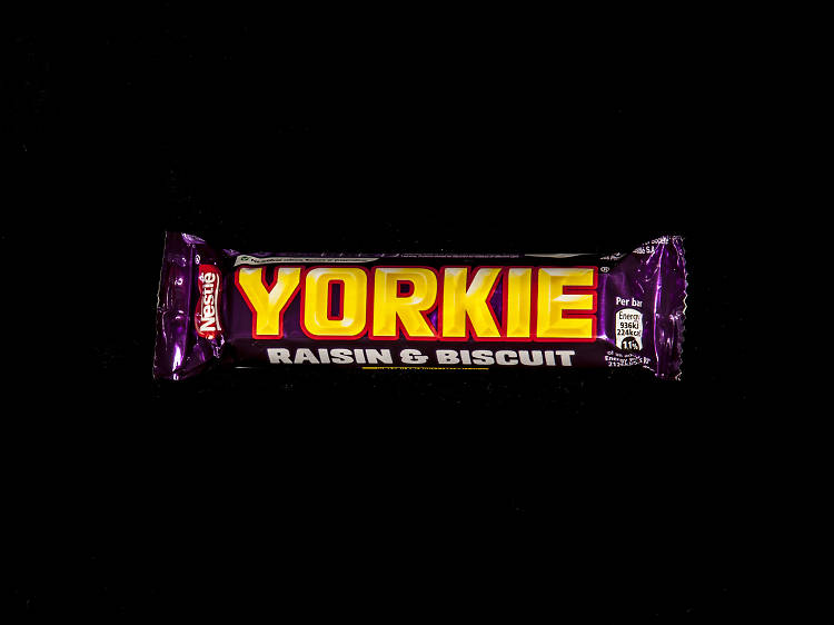 Yorkie Raisin and Biscuit