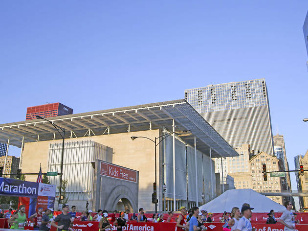 Participants started the race and crossed the finish line in Grant Park at the 2015 Chicago Marathon.