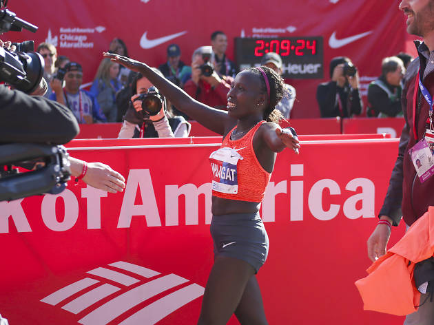 Participants started the race and crossed the finish line in Grant Park at the 2015 Chicago Marathon.