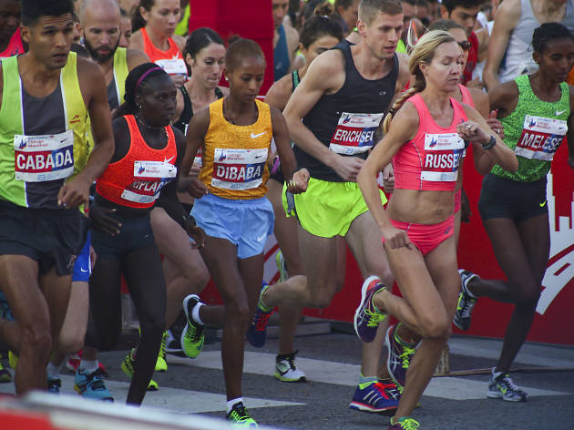 Participants started the race and crossed the finish line in Grant Park at the 2015 Chicago Marathon.