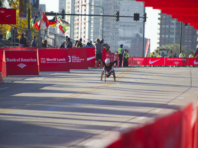 Participants started the race and crossed the finish line in Grant Park at the 2015 Chicago Marathon.