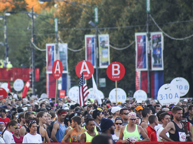 Participants started the race and crossed the finish line in Grant Park at the 2015 Chicago Marathon.