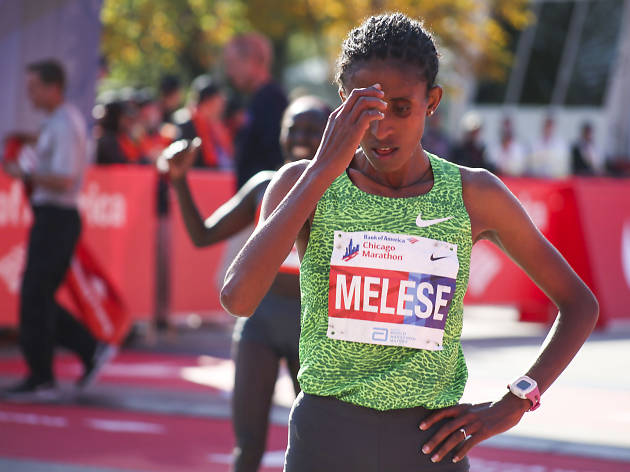 Participants started the race and crossed the finish line in Grant Park at the 2015 Chicago Marathon.