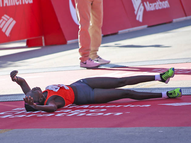 Participants started the race and crossed the finish line in Grant Park at the 2015 Chicago Marathon.