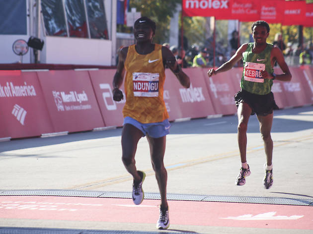 Participants started the race and crossed the finish line in Grant Park at the 2015 Chicago Marathon.