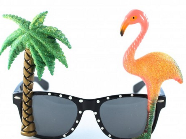 lunettes Hawai lunettes Hawai