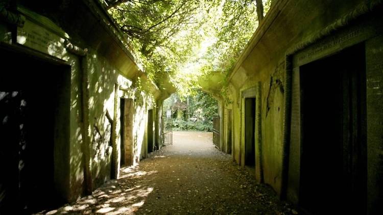 101 Things To Do in London: Highgate Cemetery