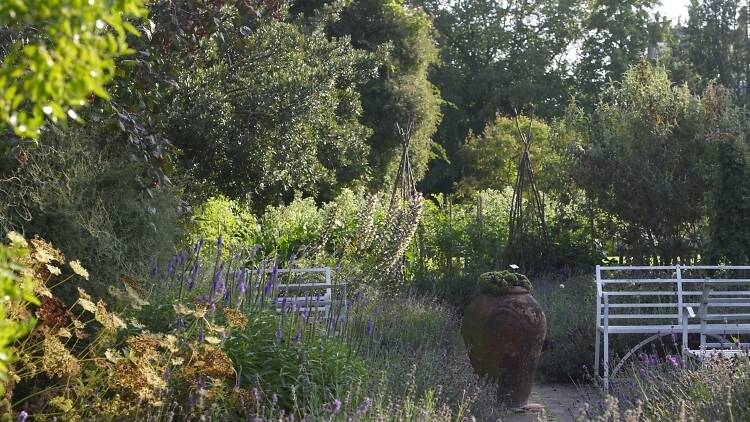101 Things To Do in London: Chelsea Physic Garden