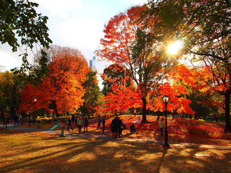 17 reasons New York City parents hate fall