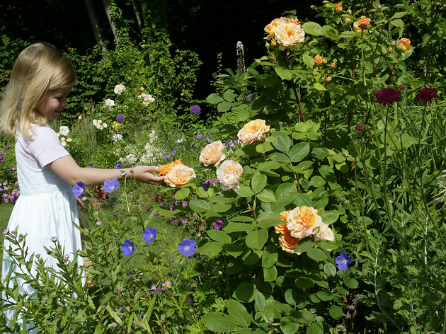 enfants au jardin enfants au jardin