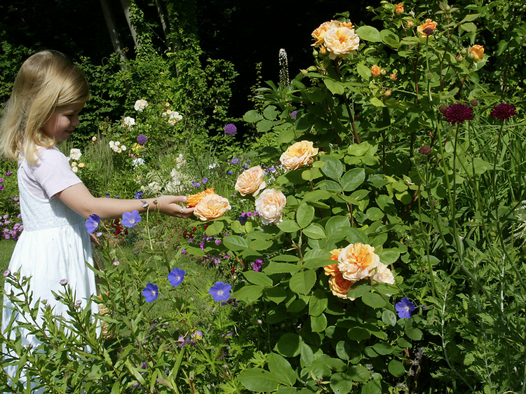 enfants au jardin