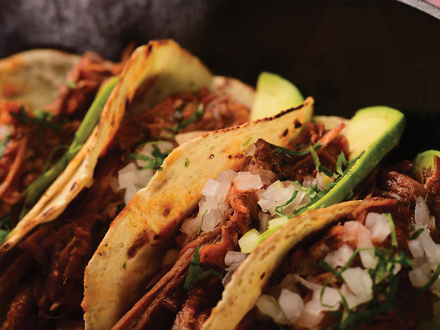 Amalia Gusto & Grill Tacos de Amalia Gusto & Grill