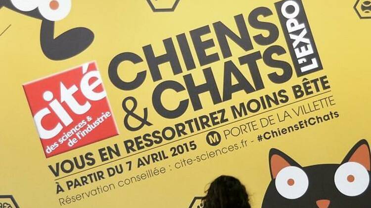 Ressortir moins bête de l’exposition 'Chiens & Chats'